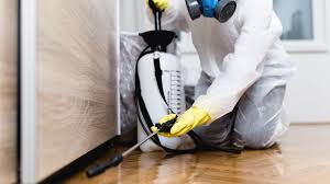 Reliable Newport, MN Pest Control Solutions